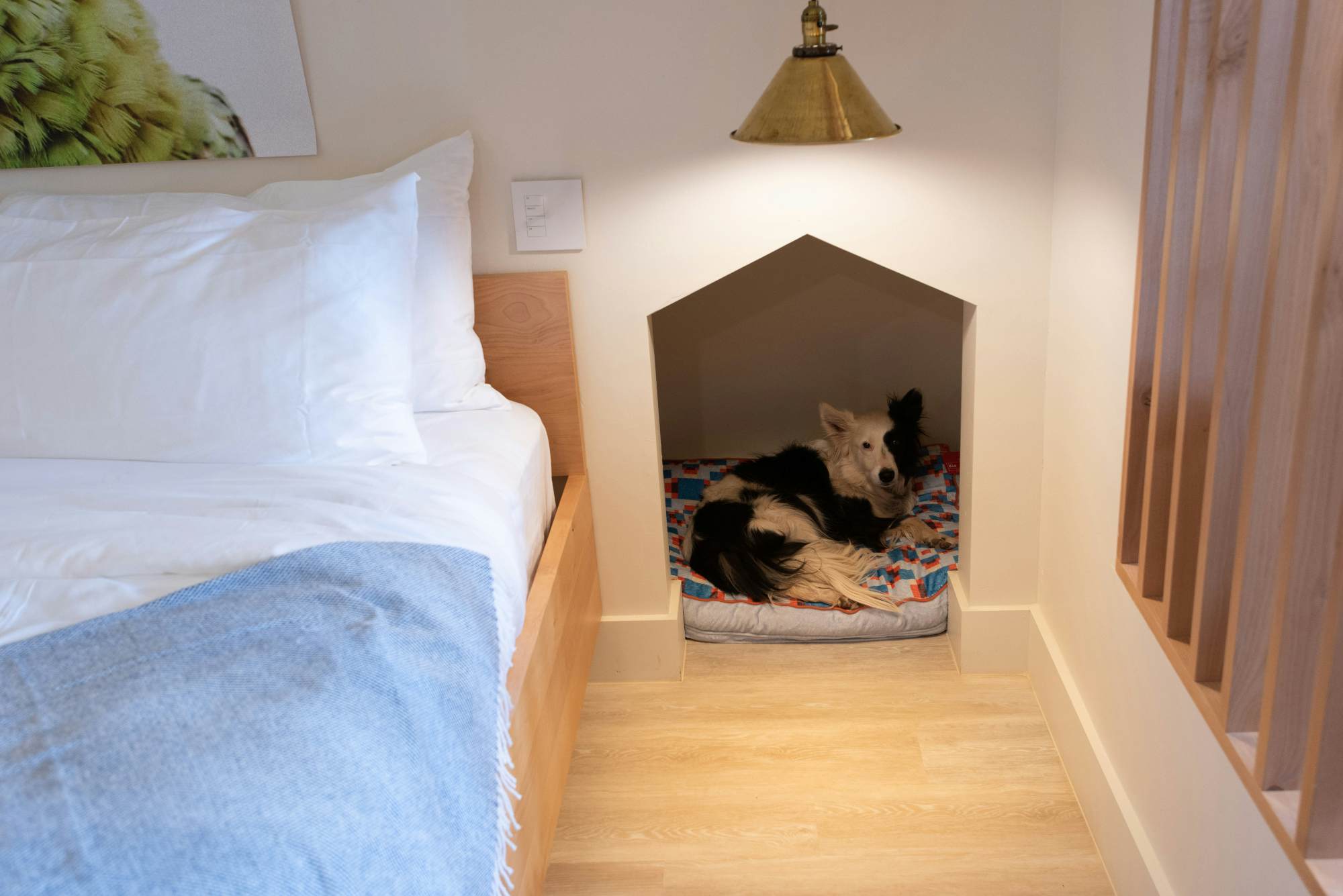 Is this the most petfriendly hotel in the world?